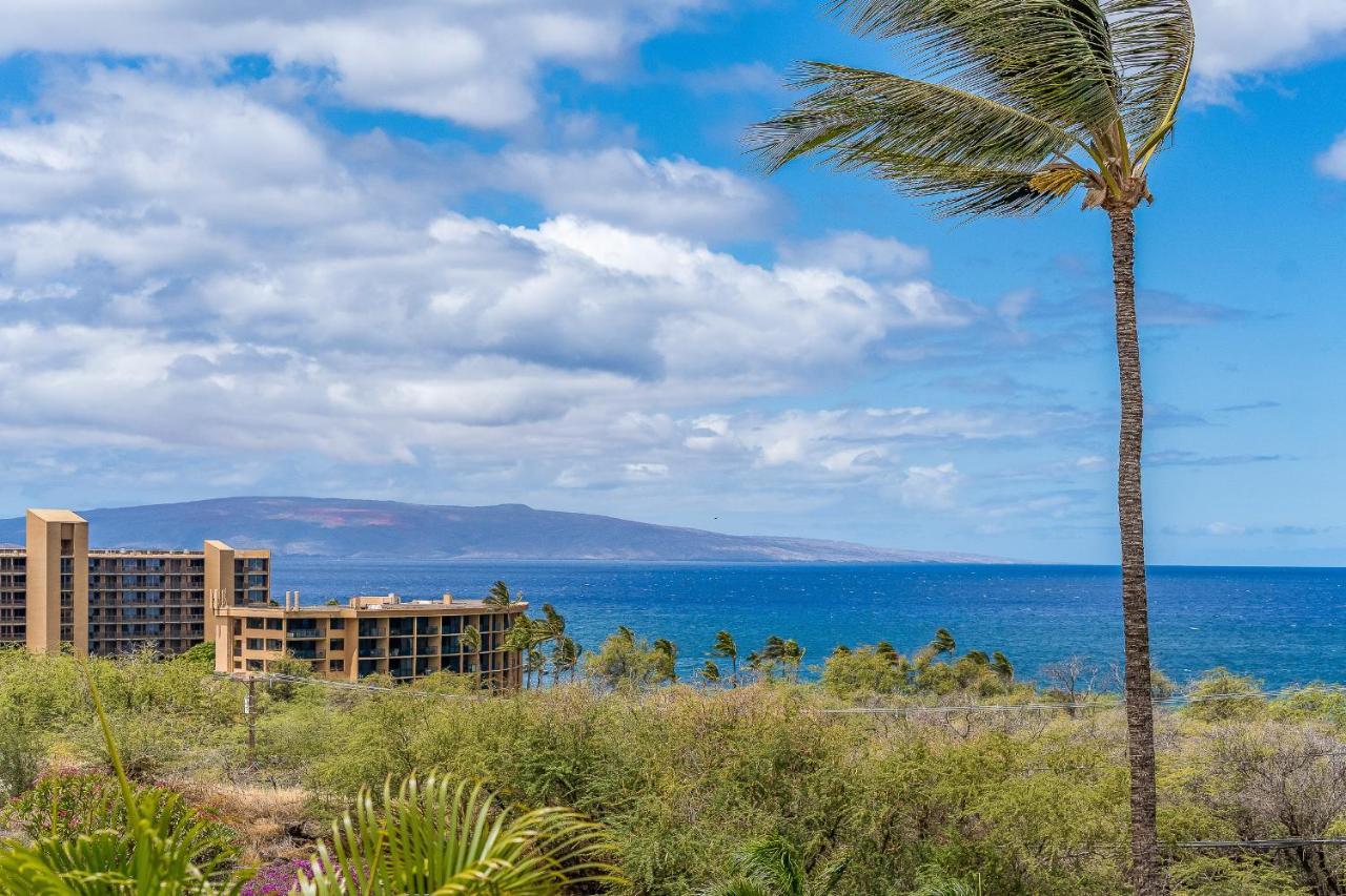 Maui Kamaole A204 - Romvari Realty Kihei Exterior foto